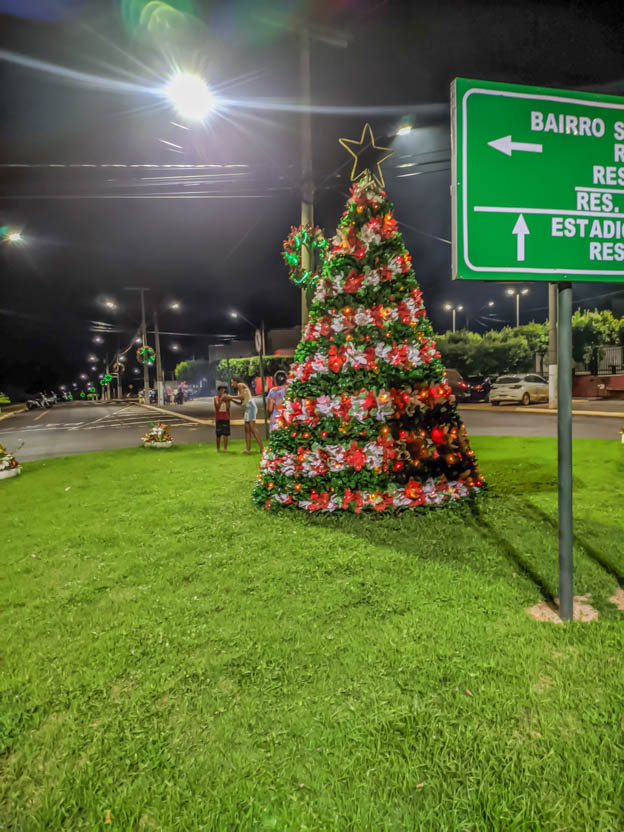 Arvore da saída para palestina