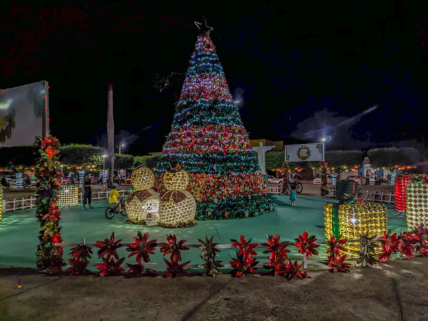 Arvore da praça central