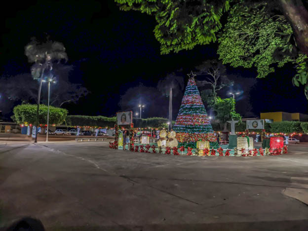 Arvore praça central